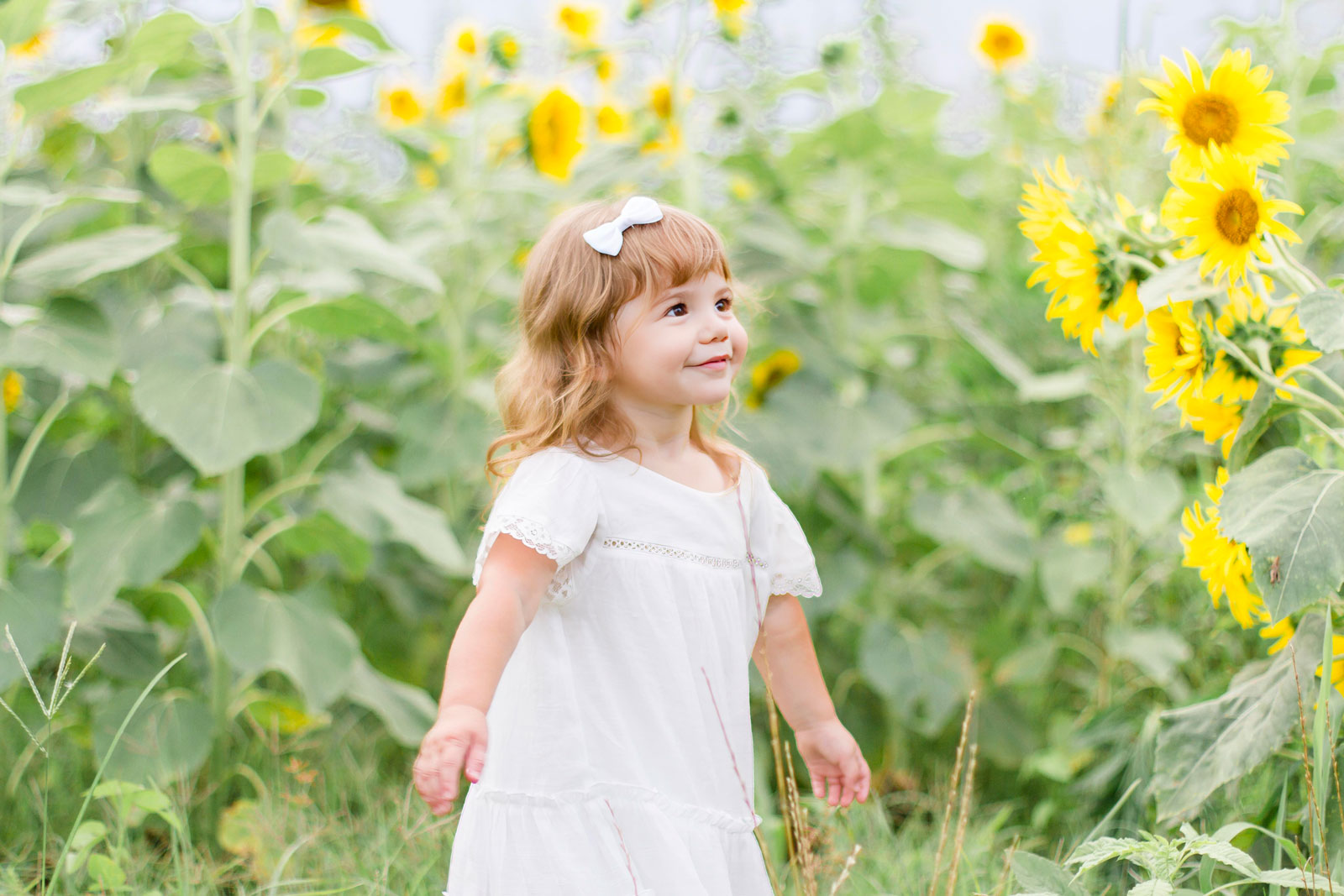 little girl looking up at her mom and the sunflowers at the sunflower field in Belcher, LA