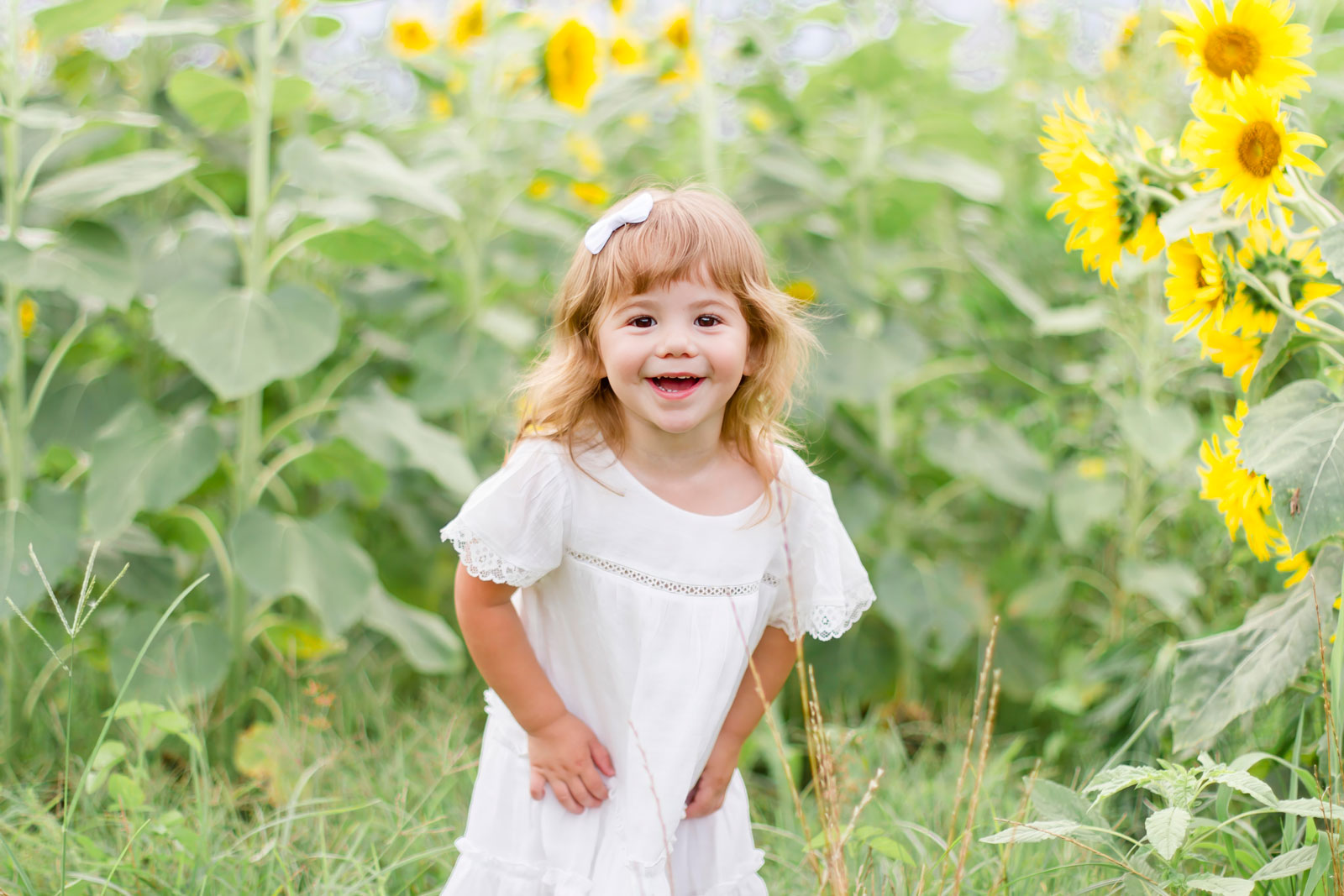 little girl laughing at the camera by the sunflowers at the sunflower field in Belcher, LA