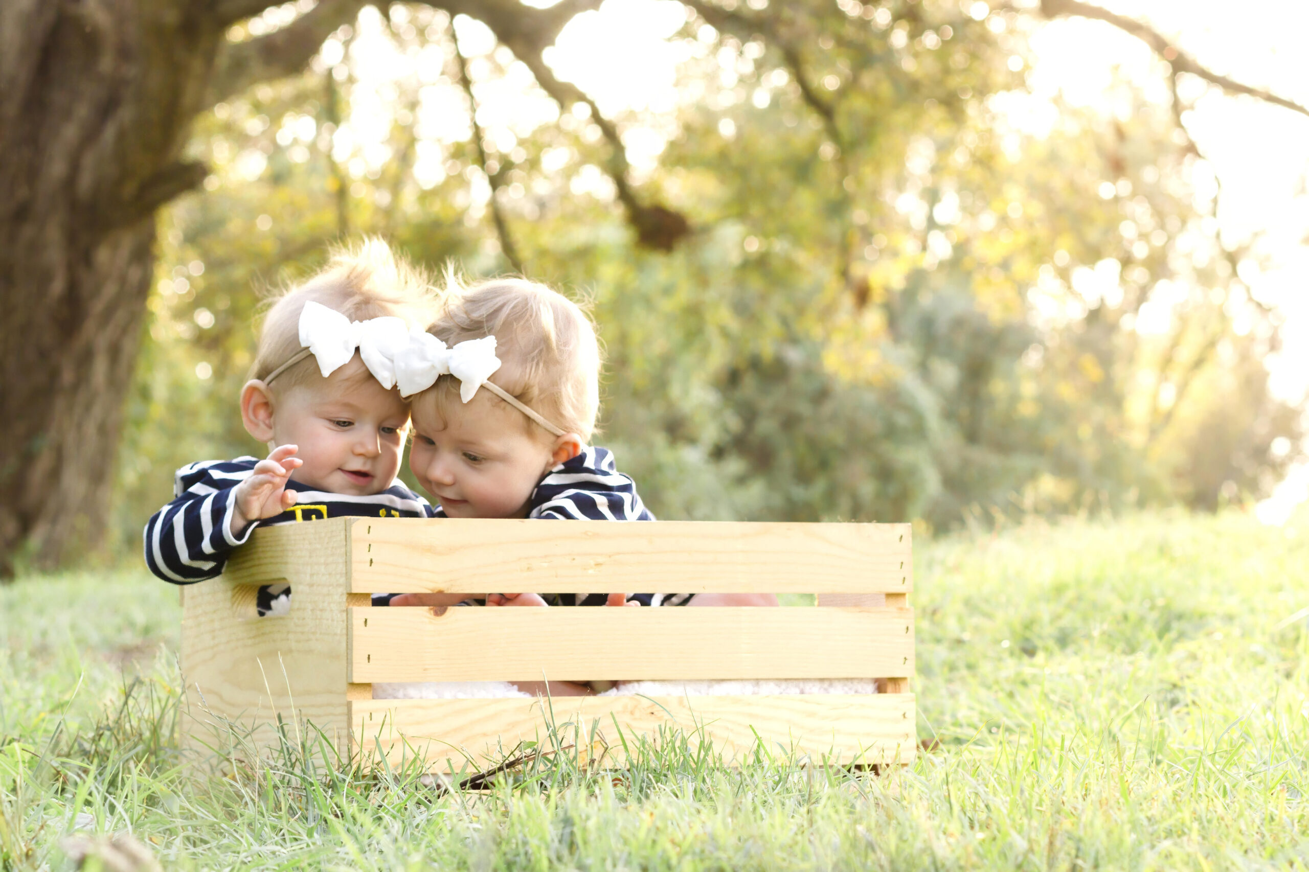 twin baby sisters sitting in a wooden crate on the ground hugging each other in Bossier City, la at Red River Wildlife Refuge Center